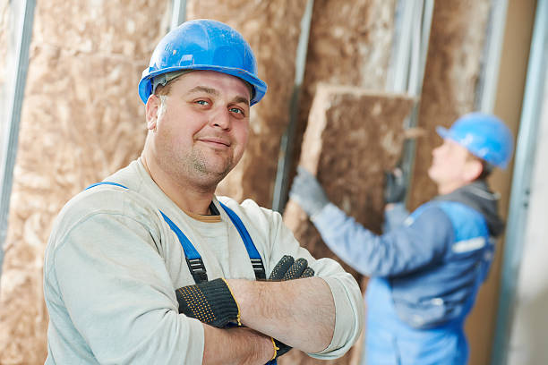 Insulation Air Sealing in Mount Pleasant, SC